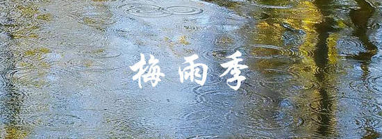 梅雨季來(lái)了(le)，水(shuǐ)産養殖挑戰不斷，不做到(dào)這(zhè)些(xiē)如何扛得過去！