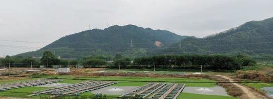 六月芒種，梅雨期至，極端天氣頻發，“水(shuǐ)産養殖如何穩操勝券”？